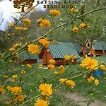 Кемпинг Rafting Stari Dud 2*