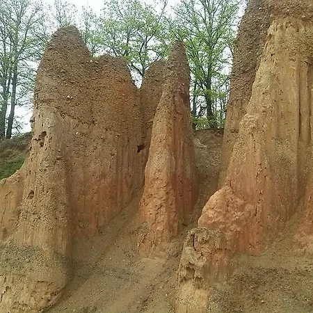 Rafting Stari Dud פוצ'ה