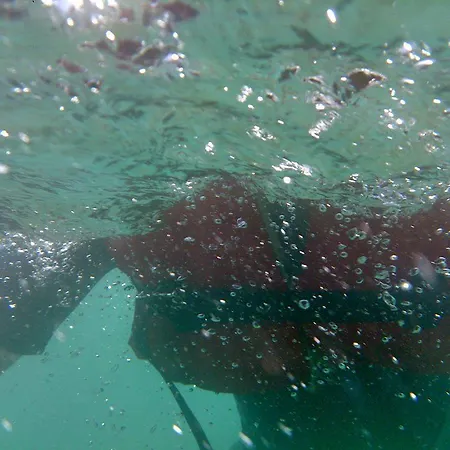 אתר קמפינג Rafting Stari Dud פוצ'ה