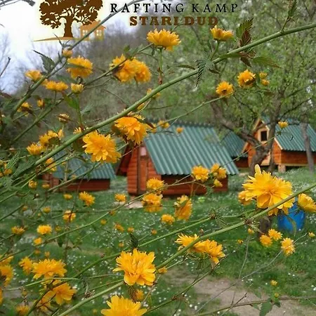 אתר קמפינג Rafting Stari Dud 2*